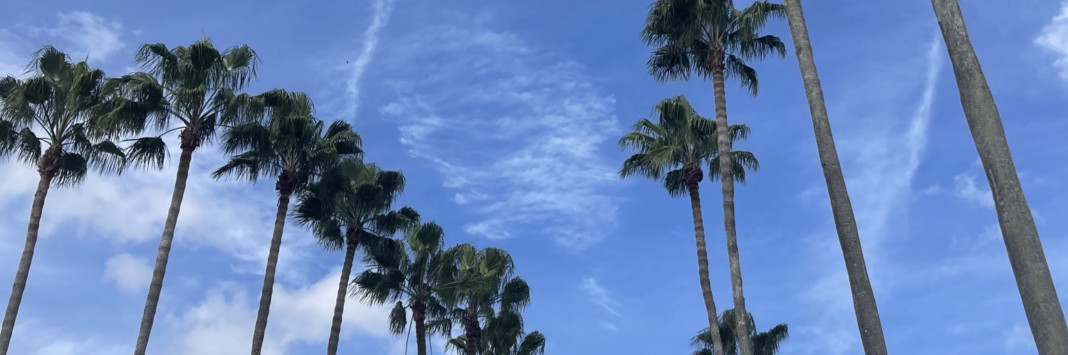 bethstravato's profile banner image