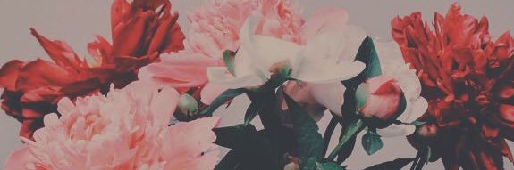 pinkishlips_'s profile banner image