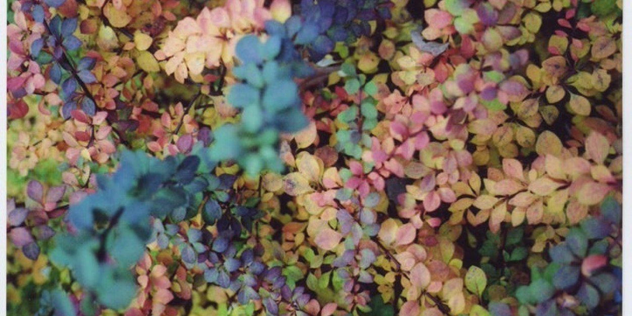 HayleyRPGRC's profile banner image
