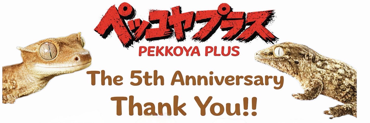 ペッコヤプラス 🏁次は九レプ banner