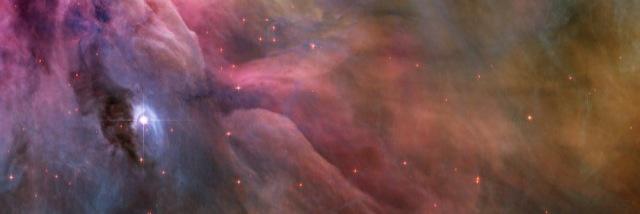 Jessica Verity banner