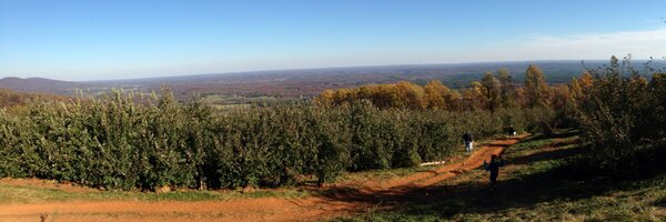 amteaching Profile Banner