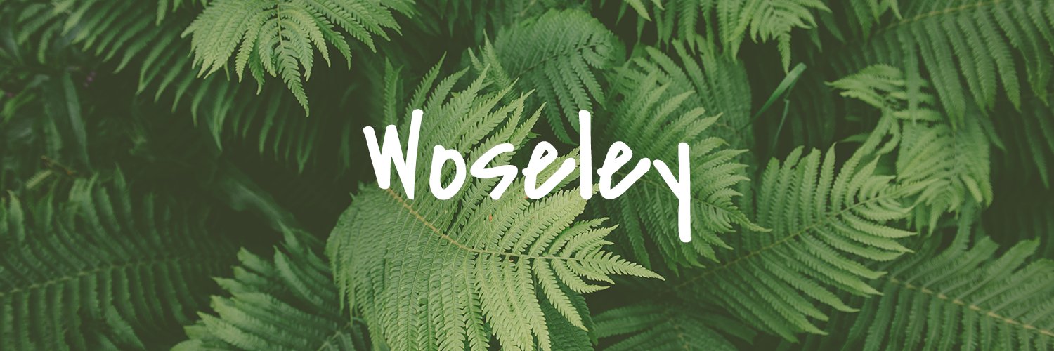 Woseley banner