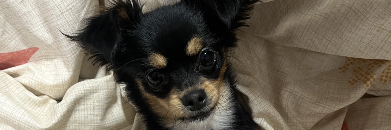 Yuutas66's profile banner image