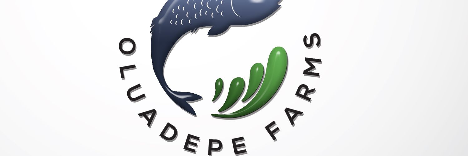 Olusegun Mayungbe 🛡️ banner