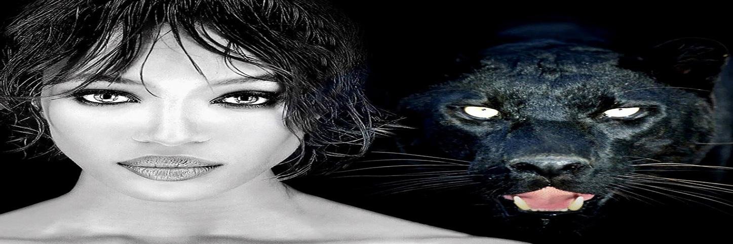 JazzGrooveWs's profile banner image