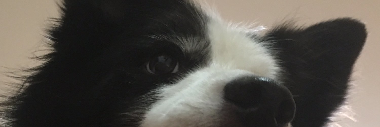 micro391's profile banner image