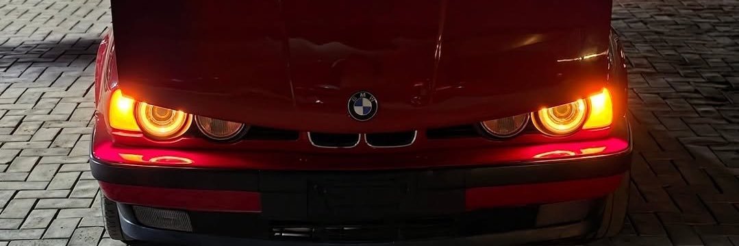 Falcone. 🐦‍🔥 banner