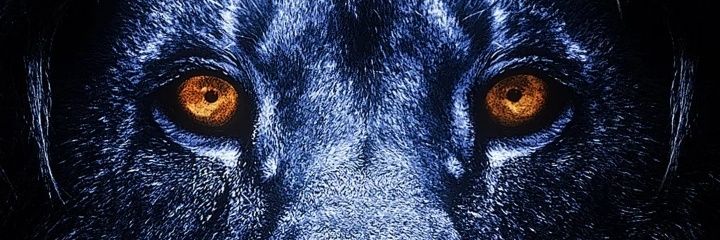 Tee banner