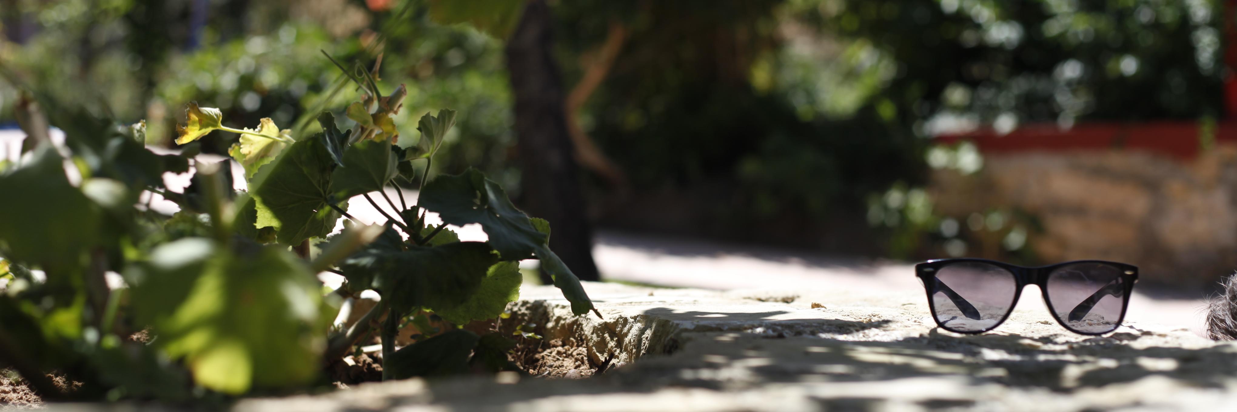 Rensbergen's profile banner image