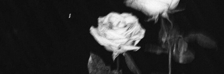 ดีเดย์. banner