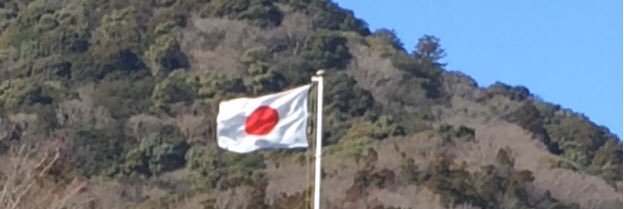 UTampo01's profile banner image