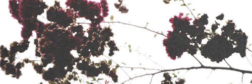 emily210201's profile banner image