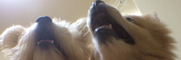 lice3Rw's profile banner image