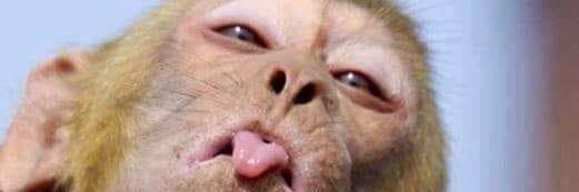 ☆Realblue☆ banner