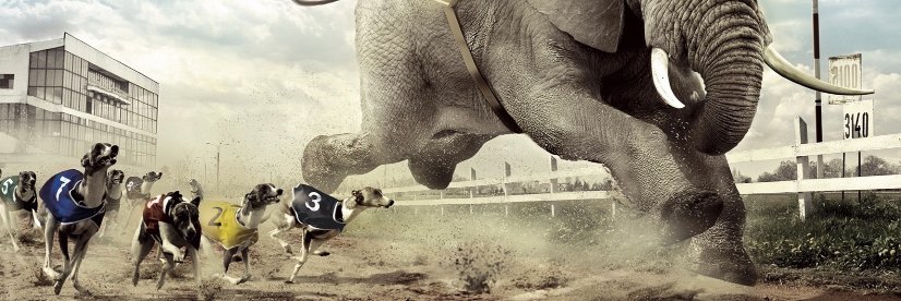 GuyInShorts's profile banner image