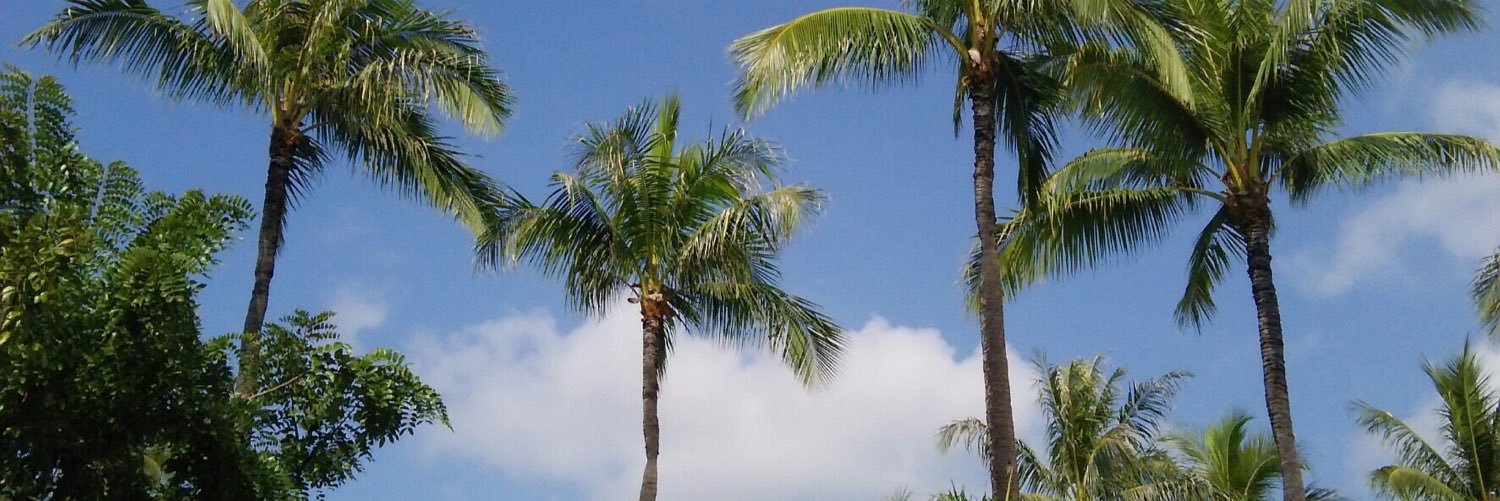 mikari0815's profile banner image