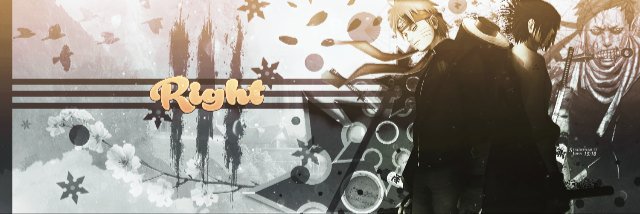 RightFol_'s profile banner image