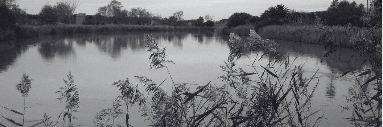 Centre d'Estudis Comarcals del Baix Llobregat banner