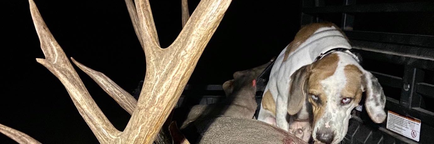 WalkerWinders23's profile banner image