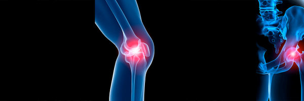 orthokey Profile Banner