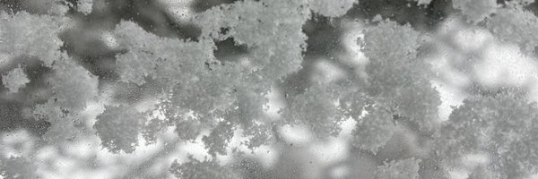 featherhigh Profile Banner