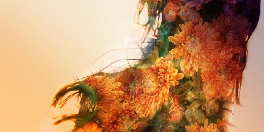 ElvanMaya's profile banner image