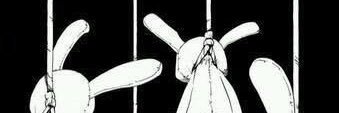 MiruRnc's profile banner image
