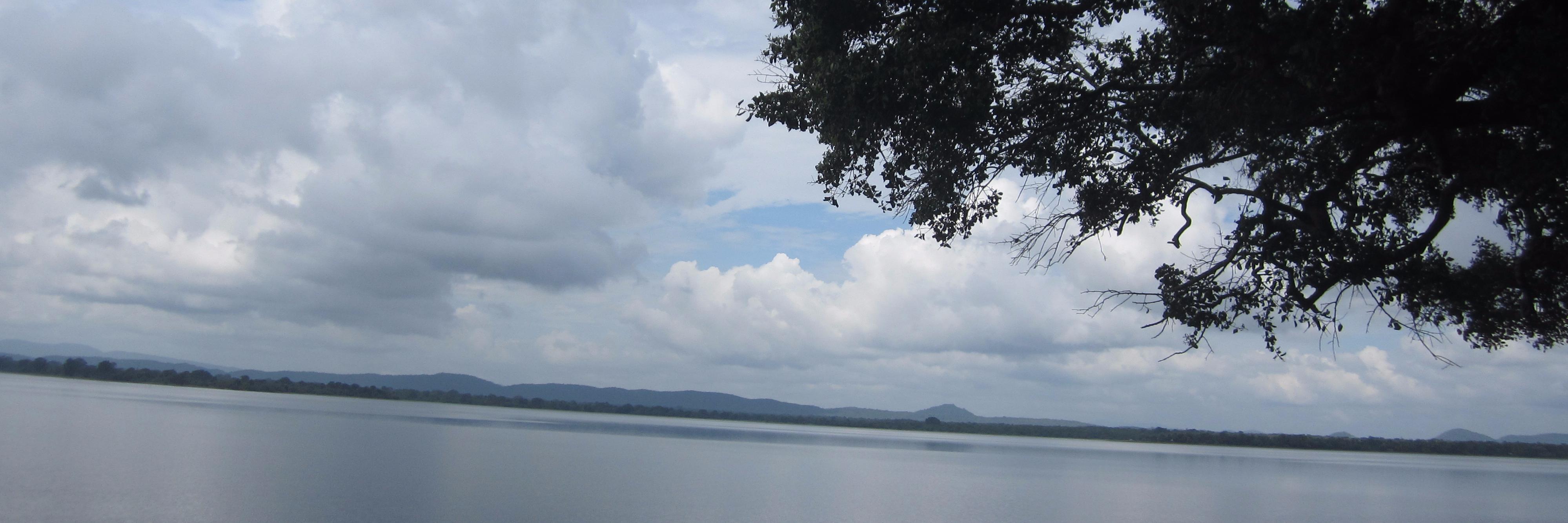 meenabhatta's profile banner image