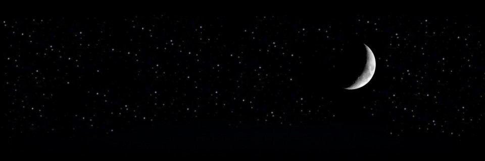 whitemoonright's profile banner image