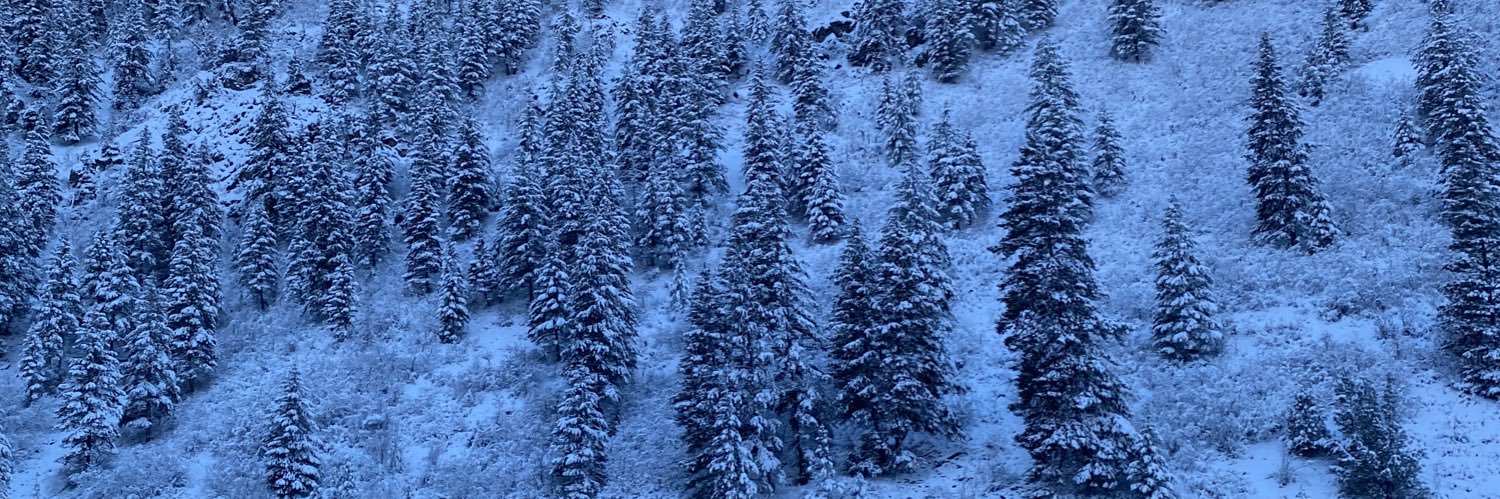 norafliege's profile banner image