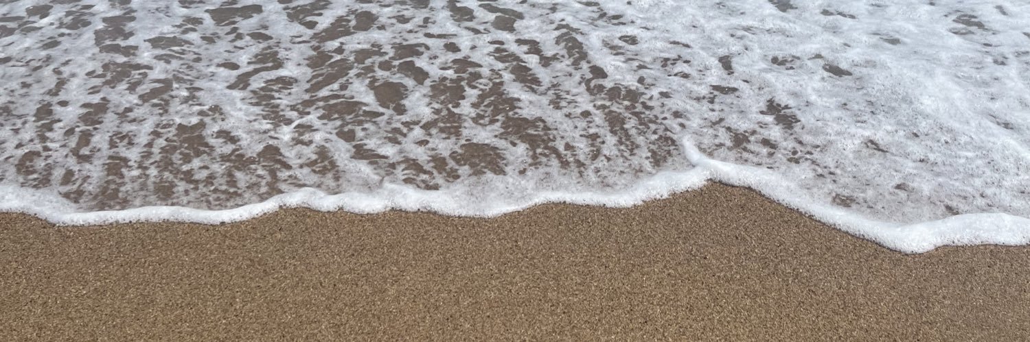 CarolineRebert's profile banner image