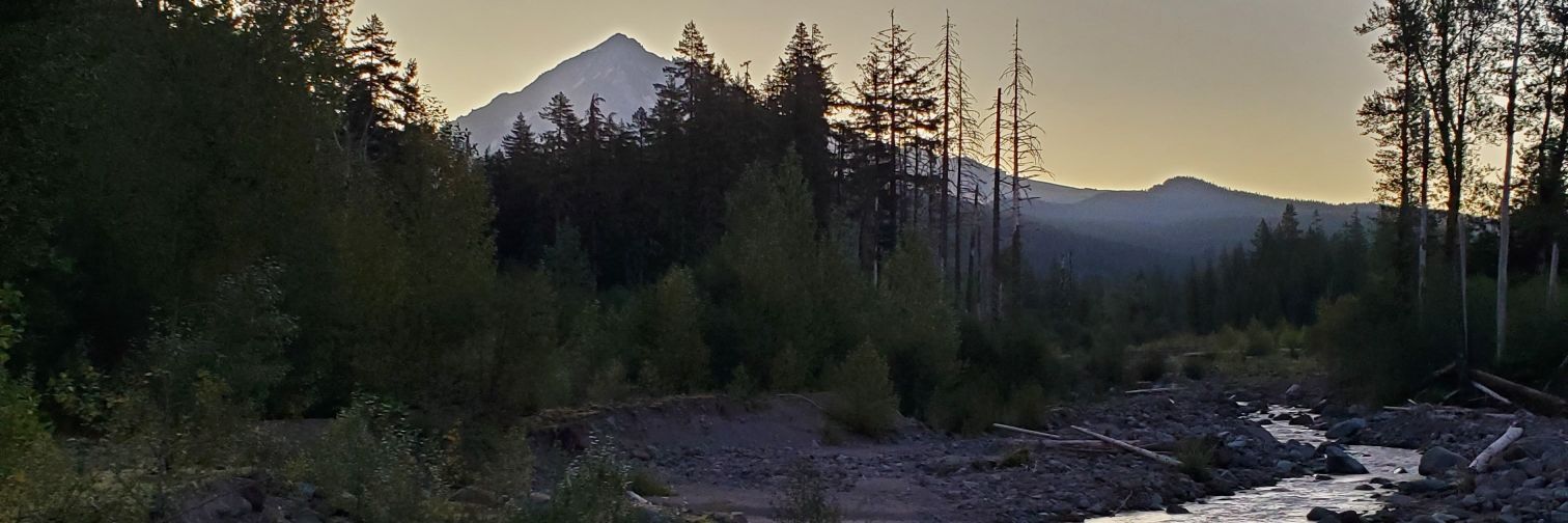 ContraToady's profile banner image