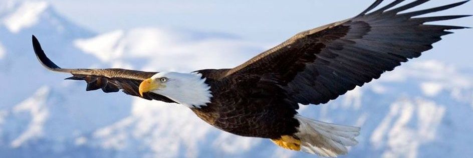 sendfa's profile banner image