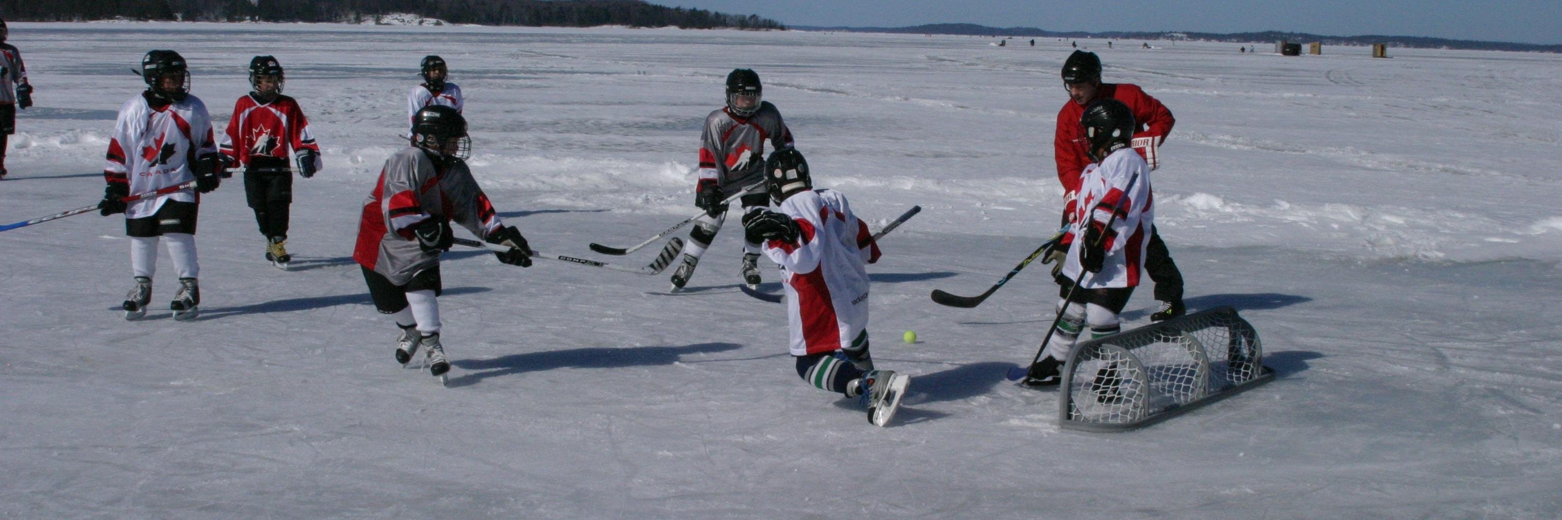 Tim McWhirter banner