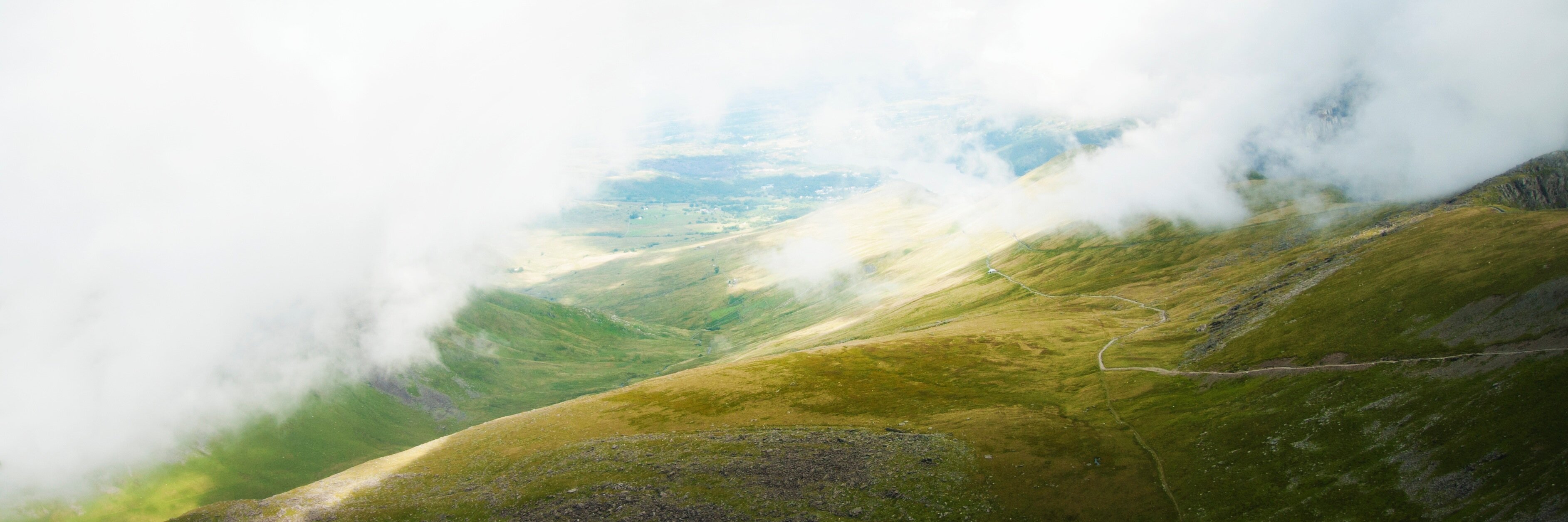 codexonline's profile banner image