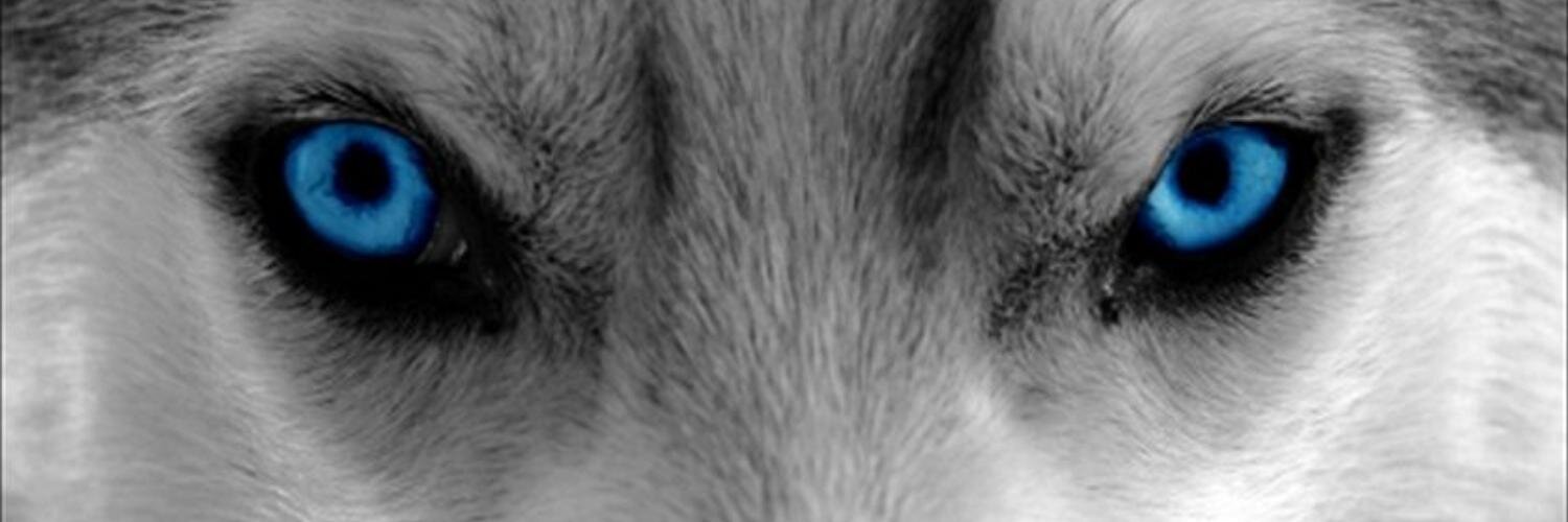 ajiyodwi's profile banner image