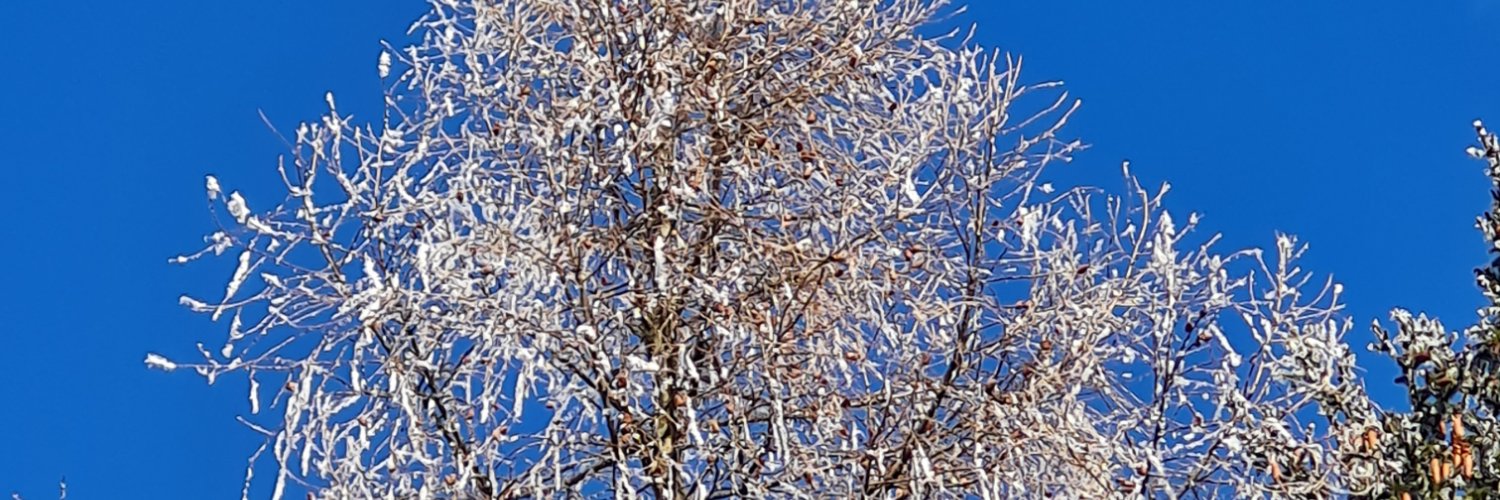 Hedi_K's profile banner image