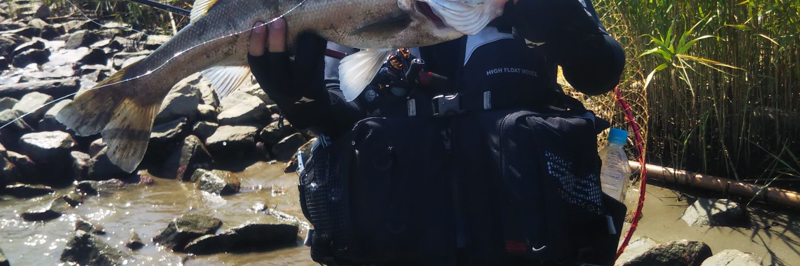 ｔｈｅ　SODA banner