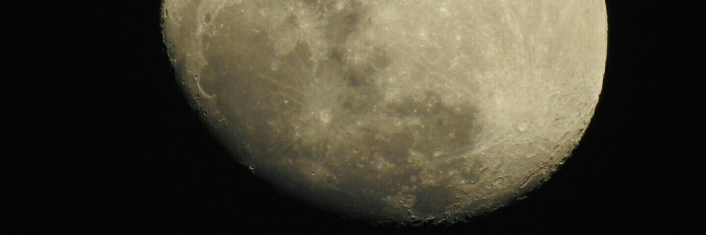 scarificio's profile banner image