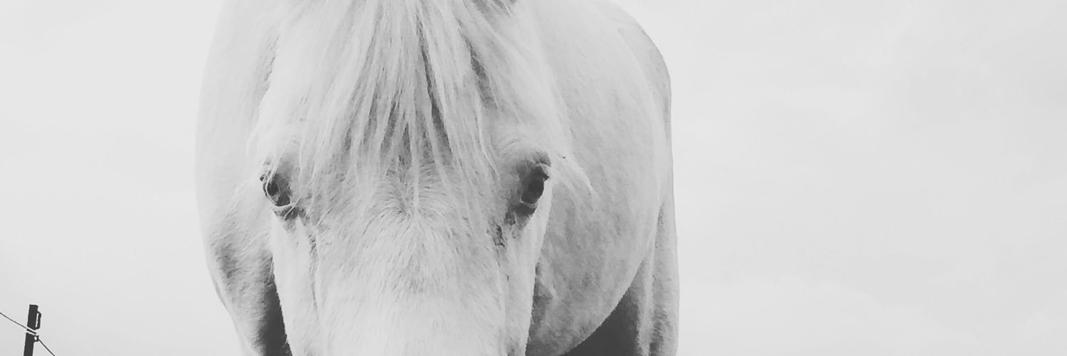 loztez's profile banner image