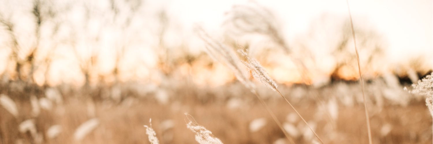 poola14's profile banner image