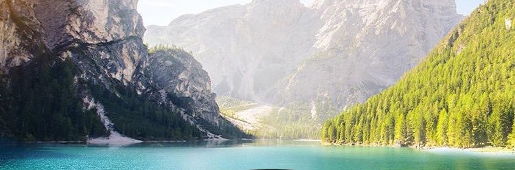 מיכל וואכטל-חלמיש banner