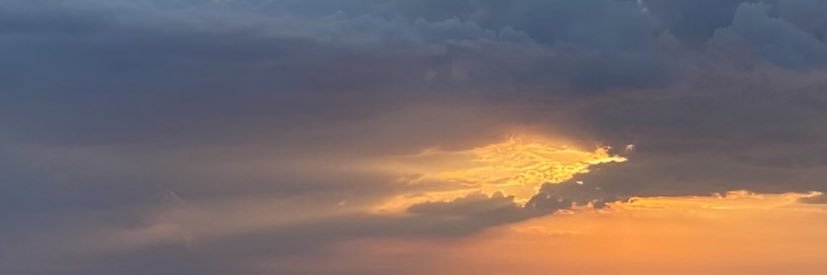 _skydd's profile banner image