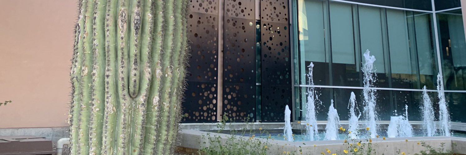 rascalliott's profile banner image