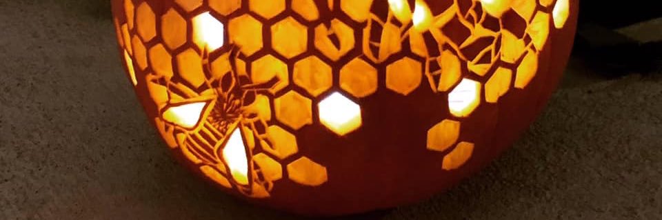 mamasalt24 banner