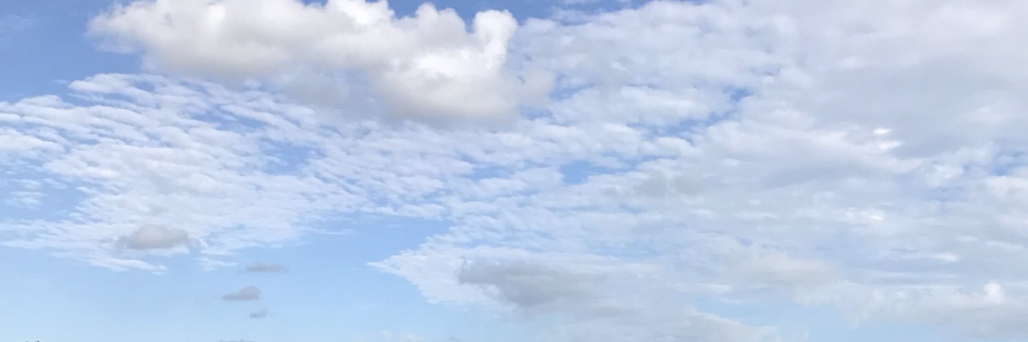 ArianneCPerry's profile banner image