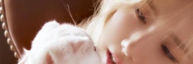 _legato530_'s profile banner image