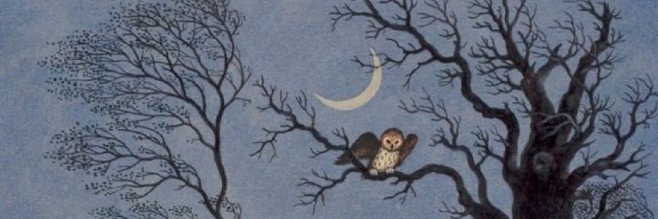 CatB_C's profile banner image