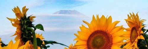 ashtaa3's profile banner image